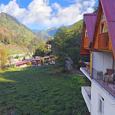 Villa Naturel Apart bungalow Çamlıhemşin Exterior foto